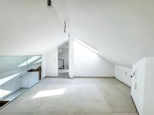 Prodej bytu 4+kk, Praha - Karlín, 163 m2