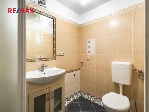 Prodej chalupy, Čenkovice, 175 m2