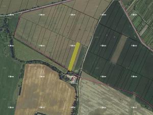 Prodej podílu pole, Přítluky, 5354 m2