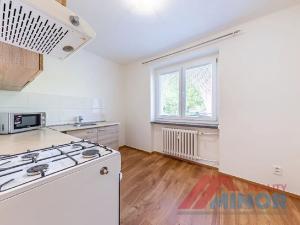 Pronájem bytu 1+1, Slaný, Rabasova, 28 m2