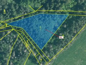 Dražba lesa, Kuřimany, 2947 m2