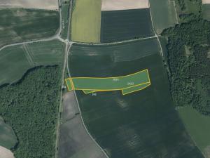 Prodej podílu pole, Očelice, 19275 m2