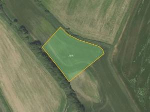 Prodej louky, Městečko Trnávka, 8040 m2