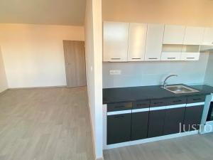 Pronájem bytu 2+1, Teplice, Alejní, 50 m2