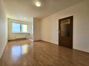 Pronájem bytu 1+kk, Brno, Svitavské nábřeží, 24 m2