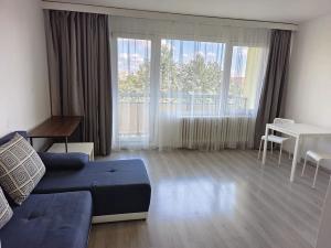 Pronájem bytu 1+kk, Brno, Okrouhlá, 28 m2