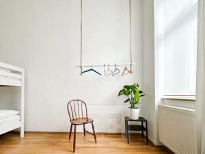 Pronájem bytu 4+kk, Brno, 115 m2