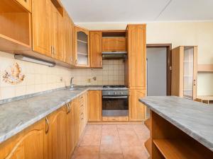 Prodej bytu 2+kk, České Budějovice, V. Volfa, 46 m2