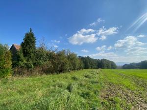 Prodej domu, Horní Bludovice, 524 m2