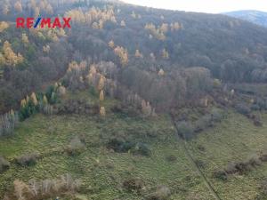 Prodej pozemku, Všenory, 96565 m2