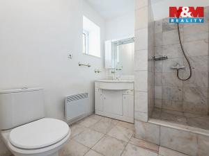 Pronájem rodinného domu, Říčany - Radošovice, Mozartova, 395 m2