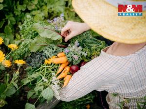 Prodej pozemku pro bydlení, Sušice, 4292 m2