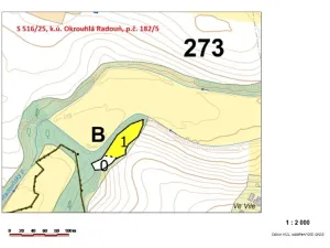 Prodej lesa, Okrouhlá Radouň, 2395 m2