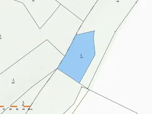 Prodej lesa, Česká Bělá, 2647 m2