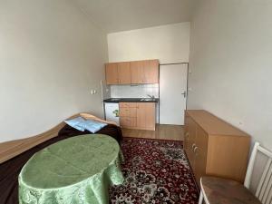 Pronájem bytu 1+kk, Hradec Králové, Dukelská třída, 20 m2