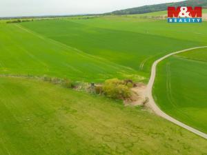 Prodej louky, Olešnice, 730 m2