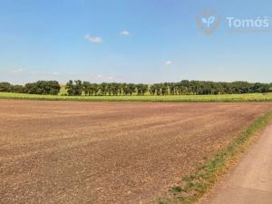 Prodej pole, Nikolčice, 10239 m2