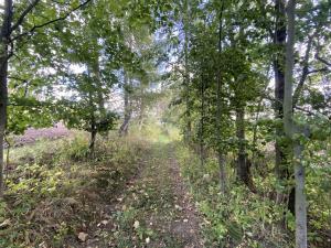 Prodej pozemku, Lánov - Horní Lánov, 4009 m2