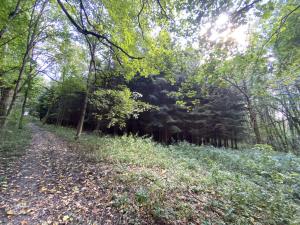 Prodej lesa, Lánov - Horní Lánov, 11269 m2