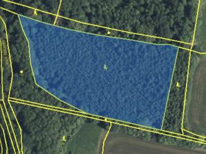 Prodej lesa, Lánov - Horní Lánov, 11269 m2