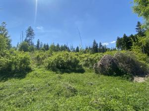 Prodej lesa, Kropáčova Vrutice - Sušno, 15167 m2