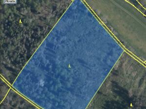 Prodej lesa, Kropáčova Vrutice - Sušno, 15167 m2