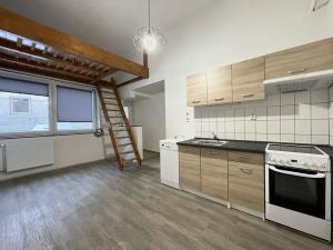 Pronájem bytu 1+kk, Liberec, Rumjancevova, 25 m2