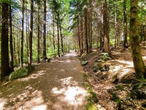 Prodej bytu 2+1, Smržovka, Klášterní, 65 m2