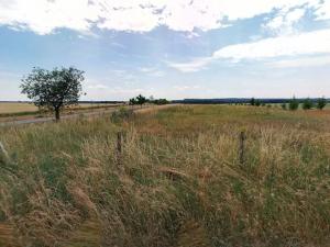 Prodej zahrady, Maršov, 31902 m2