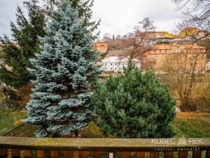 Pronájem rodinného domu, Tábor, Mlýnská, 100 m2