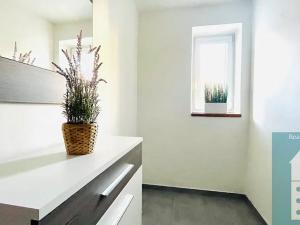 Pronájem bytu 2+1, Kroměříž, 64 m2