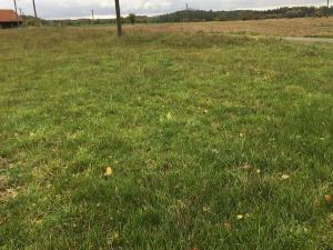 Prodej sadu/vinice, Troskovice, 8502 m2