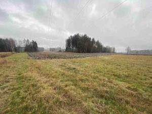 Prodej pole, Ždírec nad Doubravou - Údavy, 3034 m2