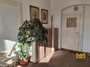 Pronájem pokoje, Praha - Karlín, Jirsíkova, 28 m2