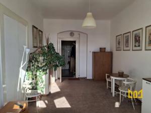 Pronájem pokoje, Praha - Karlín, Jirsíkova, 28 m2