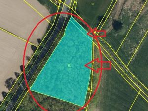 Prodej lesa, Libišany, 3737 m2