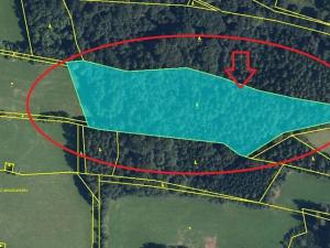 Prodej lesa, Ruda nad Moravou, 21892 m2