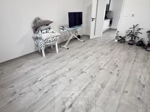 Pronájem bytu 1+1, Mělník, Pražská, 45 m2