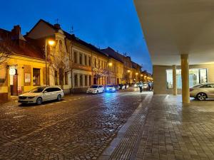 Pronájem bytu 4+kk, Pardubice, Smilova, 120 m2