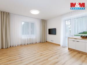 Prodej bytu 2+kk, Havířov, Hálkova, 46 m2