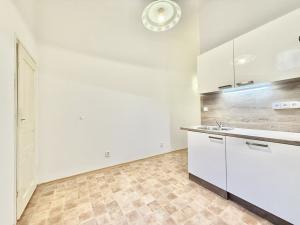 Pronájem bytu 1+1, Praha - Vinohrady, Mánesova, 48 m2