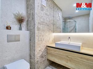 Prodej bytu 2+kk, Teplice - Trnovany, Jana Koziny, 56 m2