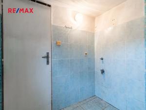 Prodej rodinného domu, Radnice, Dědická, 175 m2