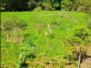 Prodej podílu lesa, Smilovy Hory, 2675 m2