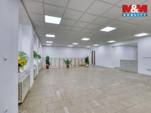 Pronájem obchodního prostoru, Přeštice, Masarykovo nám., 183 m2