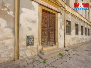 Prodej obchodního prostoru, Prostějov, Demelova, 292 m2