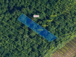 Dražba lesa, Ivančice, 435 m2