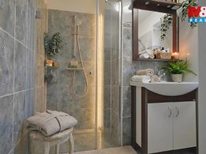 Prodej rodinného domu, Nechanice - Staré Nechanice, 287 m2