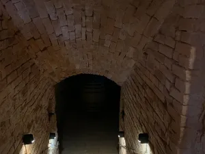 Prodej vinného sklepa, Čejkovice, 66 m2