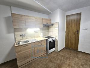 Pronájem bytu 1+1, Kostelec nad Labem, Neratovická, 25 m2